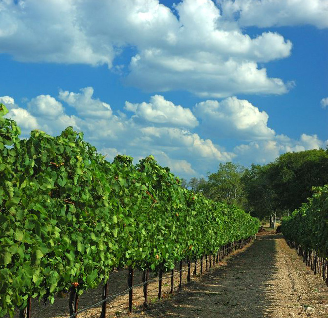 Metal recycling Dripping Springs winery